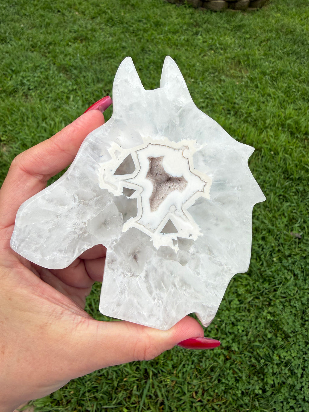 Agate Druzy Horse