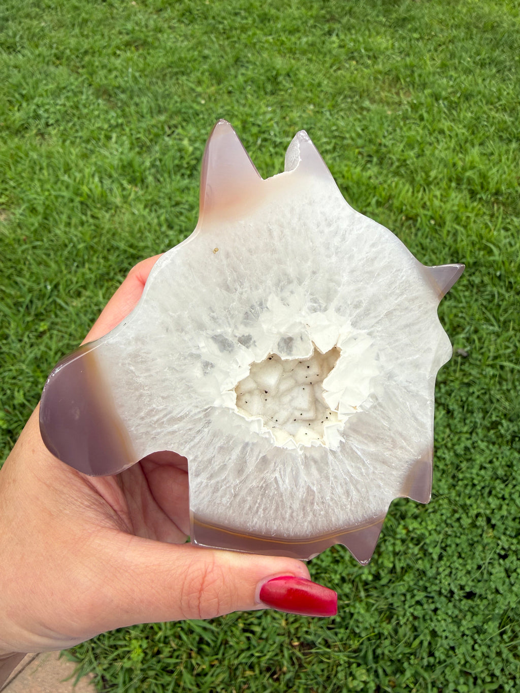 Agate Druzy Horse