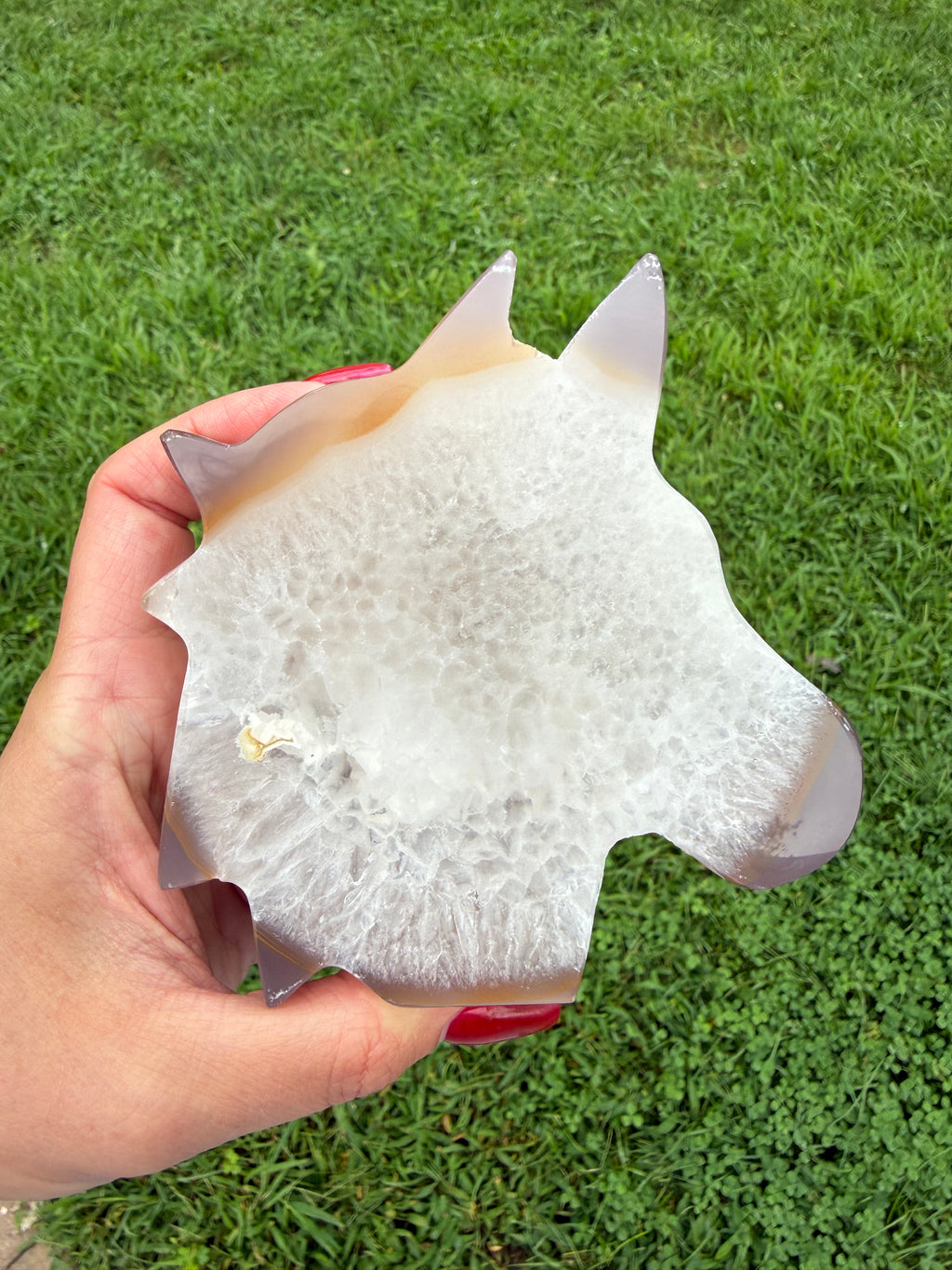 Agate Druzy Horse