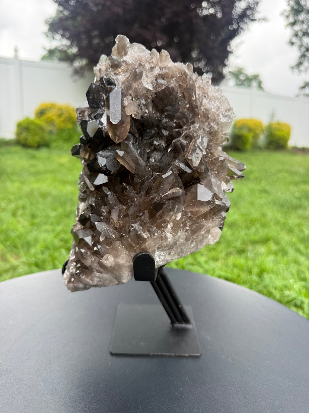 Natural Smoky Quartz Cluster