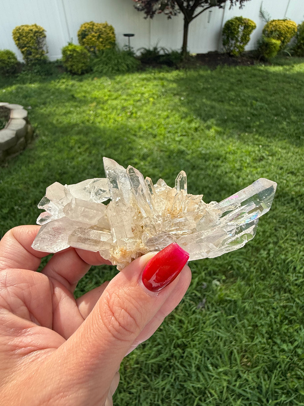 Lemurian Quartz