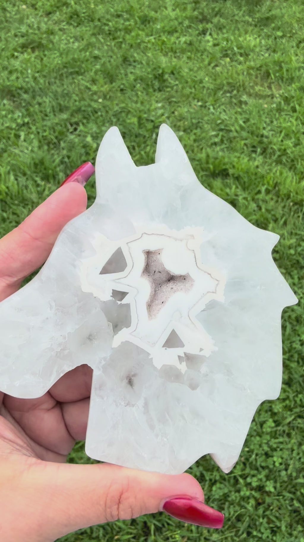 Agate Druzy Horse