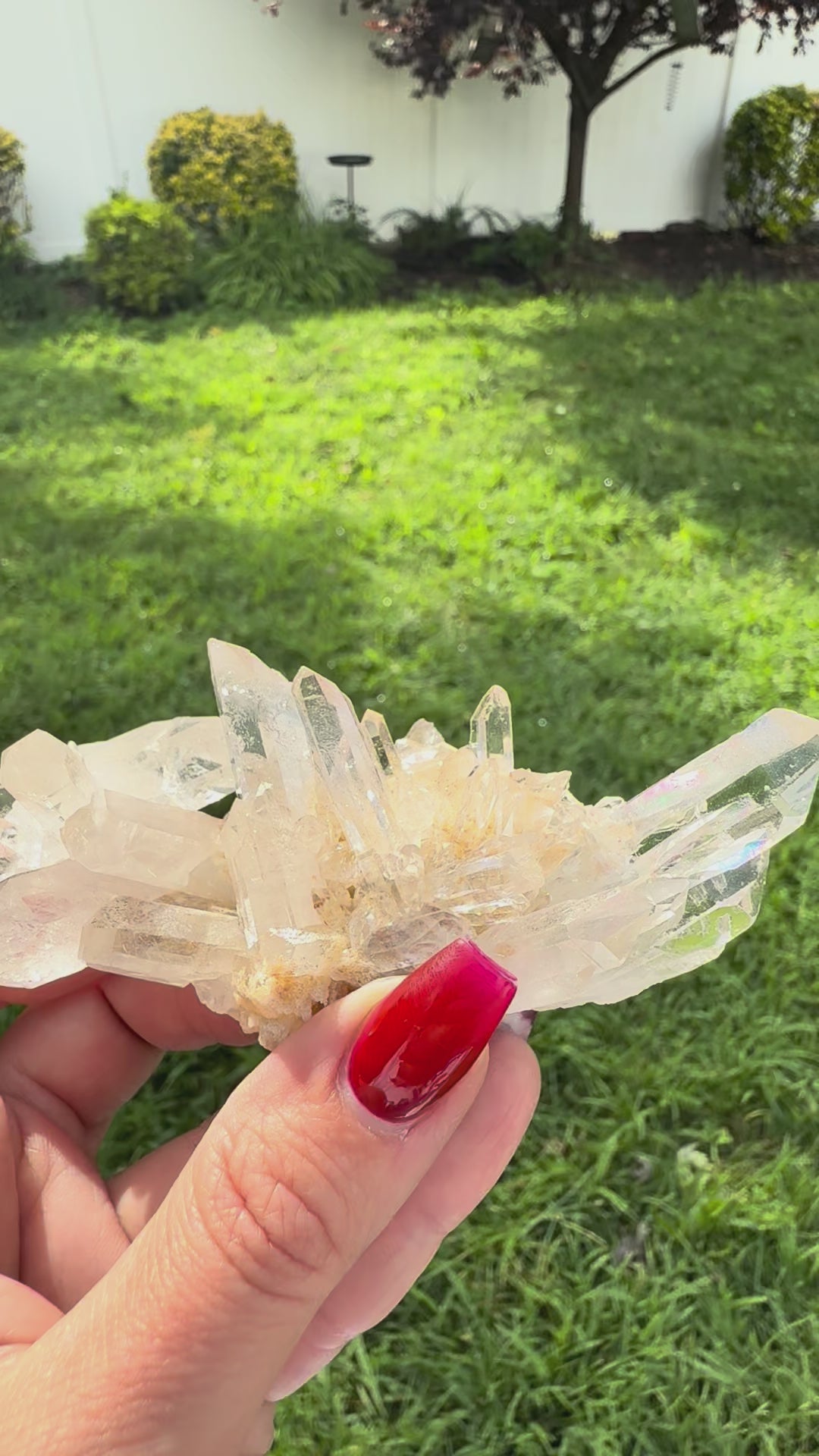 Lemurian Quartz